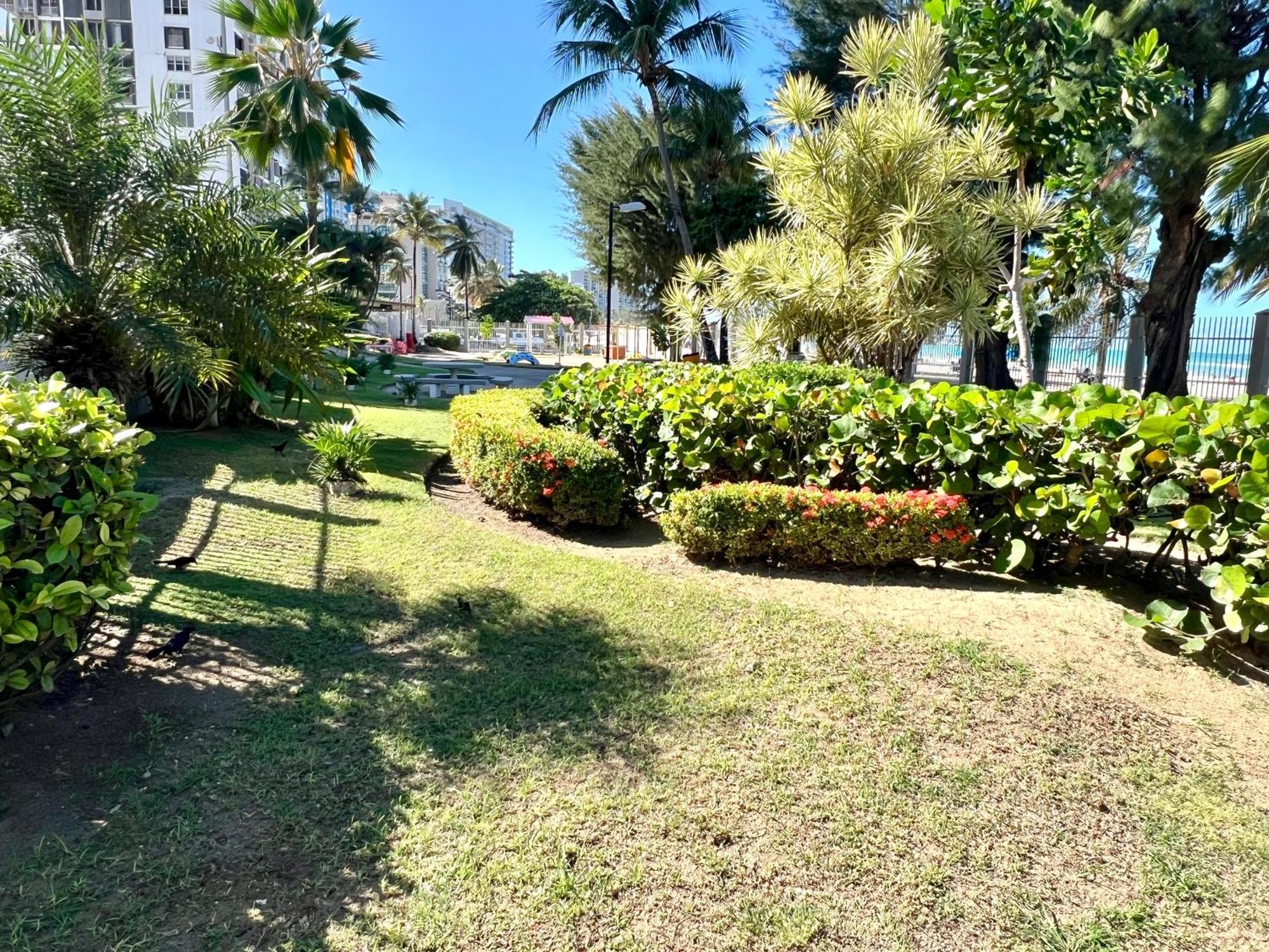 Ocean View Apt On Isla Verde In A 14Th Floor Apartment San Juan Exterior photo